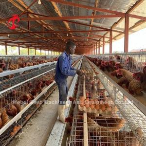 Quality Easily Assemble 2.4mm Chicken Battery Cage Galvanized A Frame Emily wholesale
