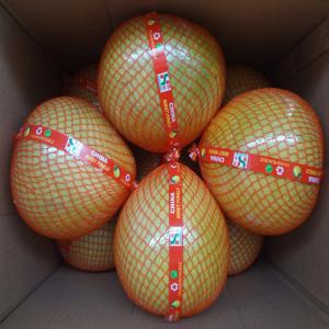 Quality Global GAP Certified Fresh Pomelo Citrus Fruits For Supermarkets wholesale