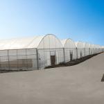 Plastic Film Vegetables Growing Agricultural 200 Micron PE Film Multispan
