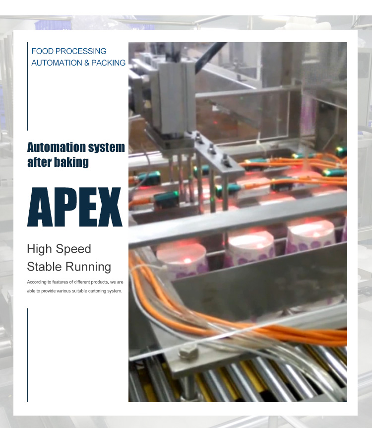 Customized Horizontal Flow Automatic Box Packing Machine For Carton Sealing