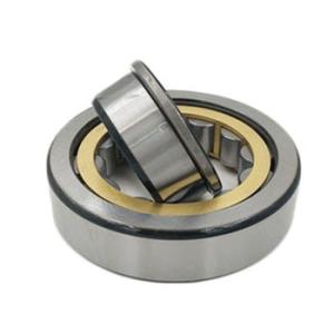 Quality BC1-738A Nj206 Nj208 Nj210 Cylindrical Roller Bearing wholesale