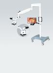 Endodontics ENT Dental Surgical Microscope Practical With Objective Lens