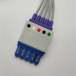 Compatible HP / PH Ecg Leads Medical AHA Standard 6 Months Warranty