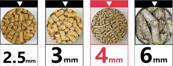 Feed Pellet Mill Making Machine Chicken Feed Pellet Making Machine Feed Food Pellet Making Machine