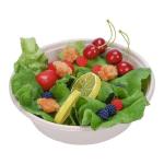 OEM Disposable Sustainable Compostable Eco Products 32 Oz Sugarcane Bowl
