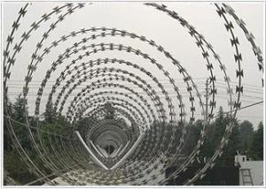 Quality Single Twisted Barbed Wire wholesale