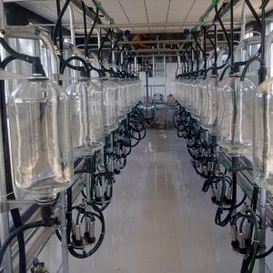 Quality Automatic 4KW Herringbone Milking Parlor for Milking Cow and Milking Goat wholesale