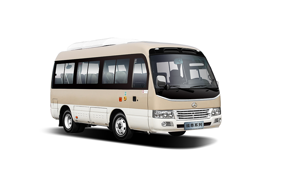 Front Mounted Engine 10-19 Seats Toyo Ta Coaster Bus for Best Travel Experience