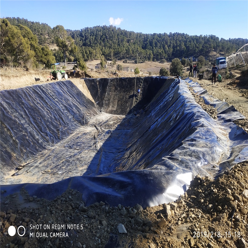 Customized Width HDPE Geomembrane for Landfill and Fish Pond Environmentally Friendly