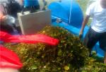 River Plant Water Hyacinth Aquatic Weed Harvester Cleaning Boat for Sale