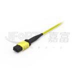 12 Cores MPO Trunk Cable LSZH 2.0mm/3.0mm low loss Single-Tube Mini Cable MPO