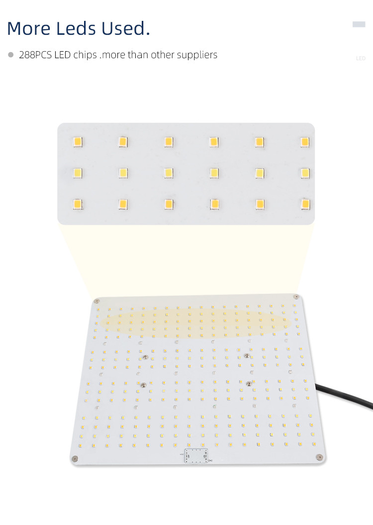 Customized Spectrum 3000K 660nm Quantum Board Light