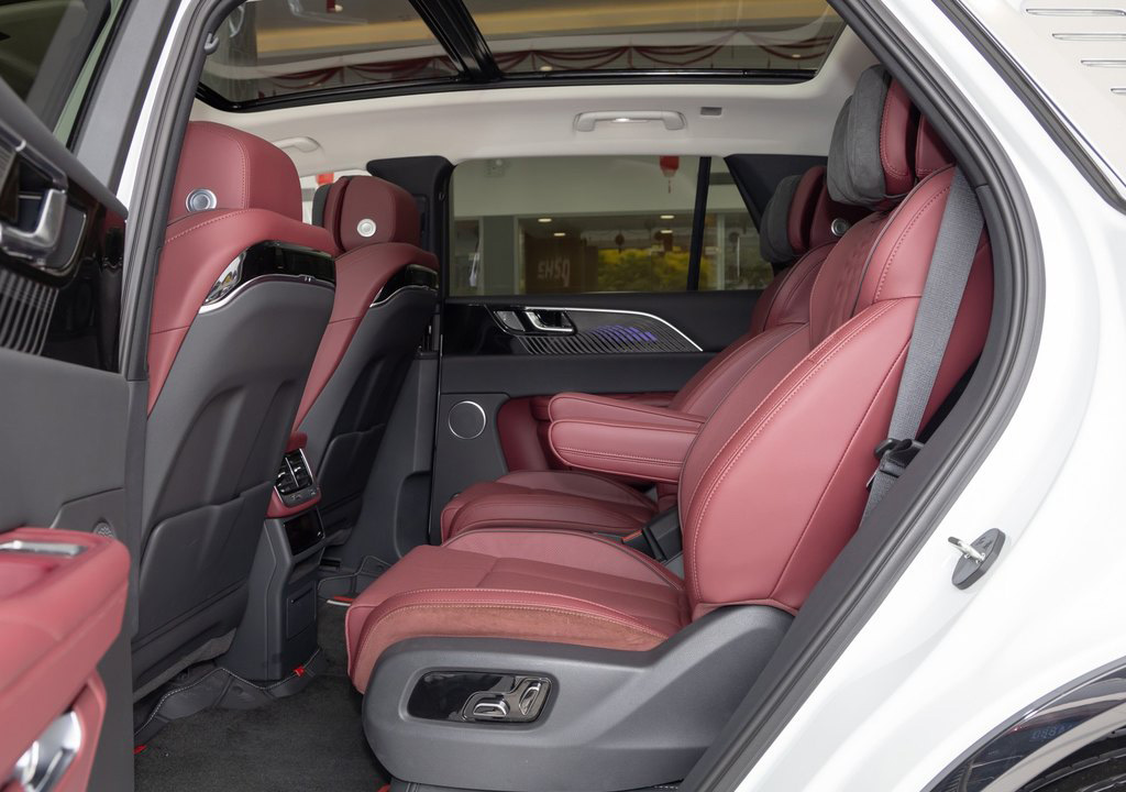 China luxury executive coches usados new energy vehicles
