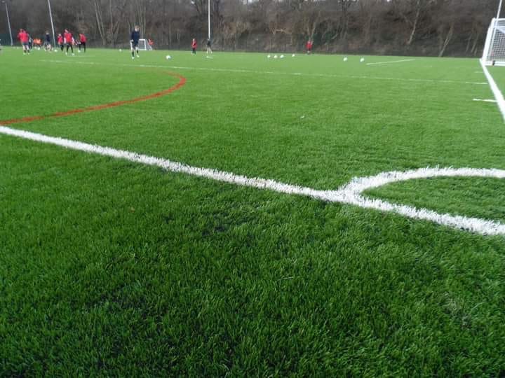 Plastic Flat Football Synthetic Grass Chemical Free Environment Protection