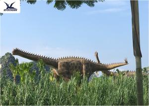 Quality Professional Display Outdoor Dinosaur / Remote Control Dinosaur Yard Decorations wholesale