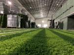9000 Dtex Artificial Lawn Grass Landscaping 20mm Plastic Carpet Decorative