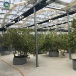 Commercial Film Curtain Fabric Blackout Greenhouse For Sensitive Plants