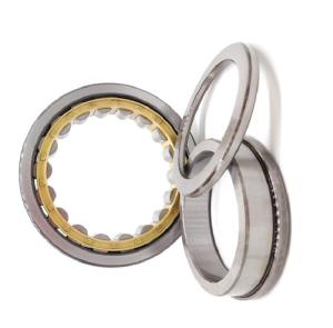 Quality ODM Double Radial Cylindrical Roller Bearing NU1019 95x145x24mm wholesale