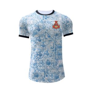 Quality Portugal Euro Cup Player Edition Jersey 100% Polyester Standard Thickness wholesale