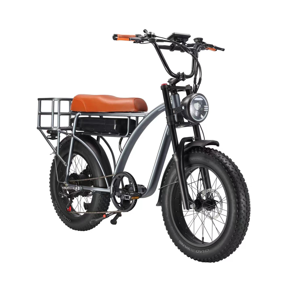 Electric Fat Bike 500W 750W Super Nice 73 Electric Bike with 48V 18AH Lithium Battery