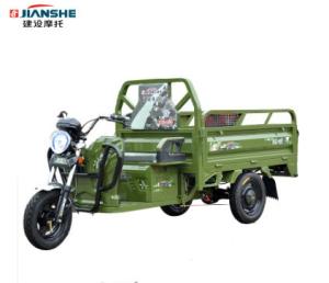 Quality Solar Open 48v 0.8t Electric Tricycle For Elderly wholesale