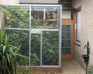 China aviary mesh for Medium Pet Birds on sale