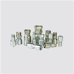 Equal Male Female 22691 BSP Hose Fittings