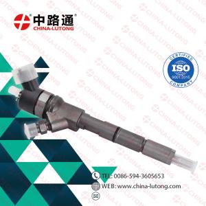 Quality 0445110307 for bosch common rail injector manufacturers 0 445 110 307 Common Rail Injector 5263308 wholesale