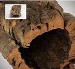 FDA Cork Raw Material Aquarium Bulk Cork Bark Rounds Driftwood