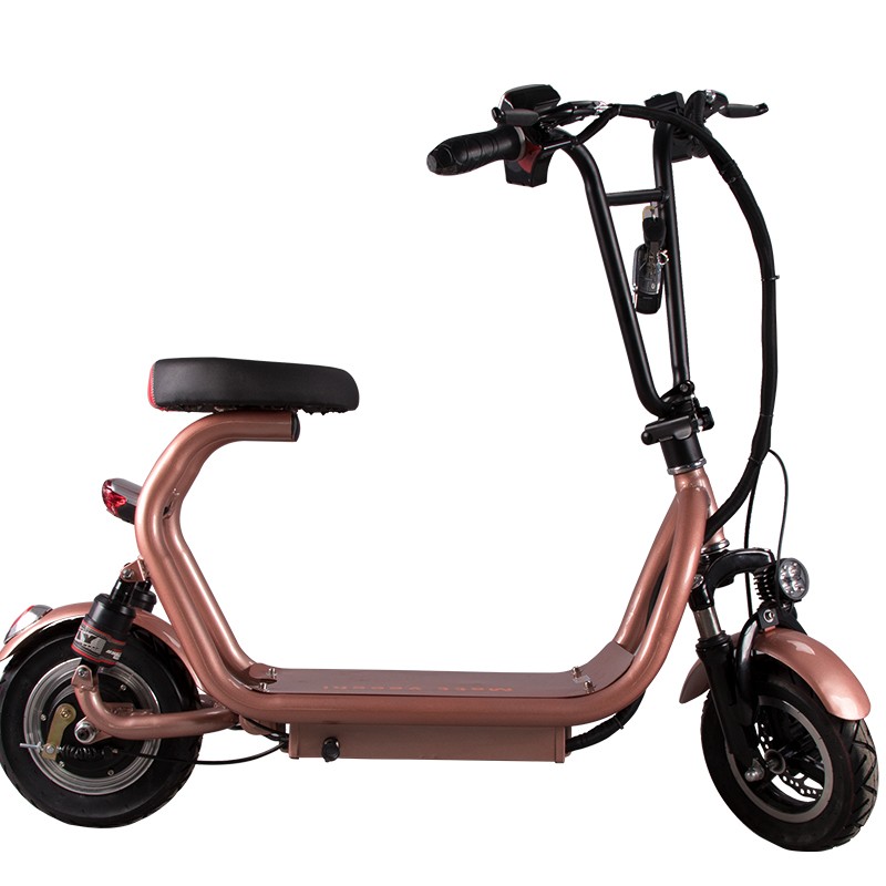 Citycoco Urban Electric Scooter 48V 8AH Lithium Battery 350W Pocket Electric Scooter