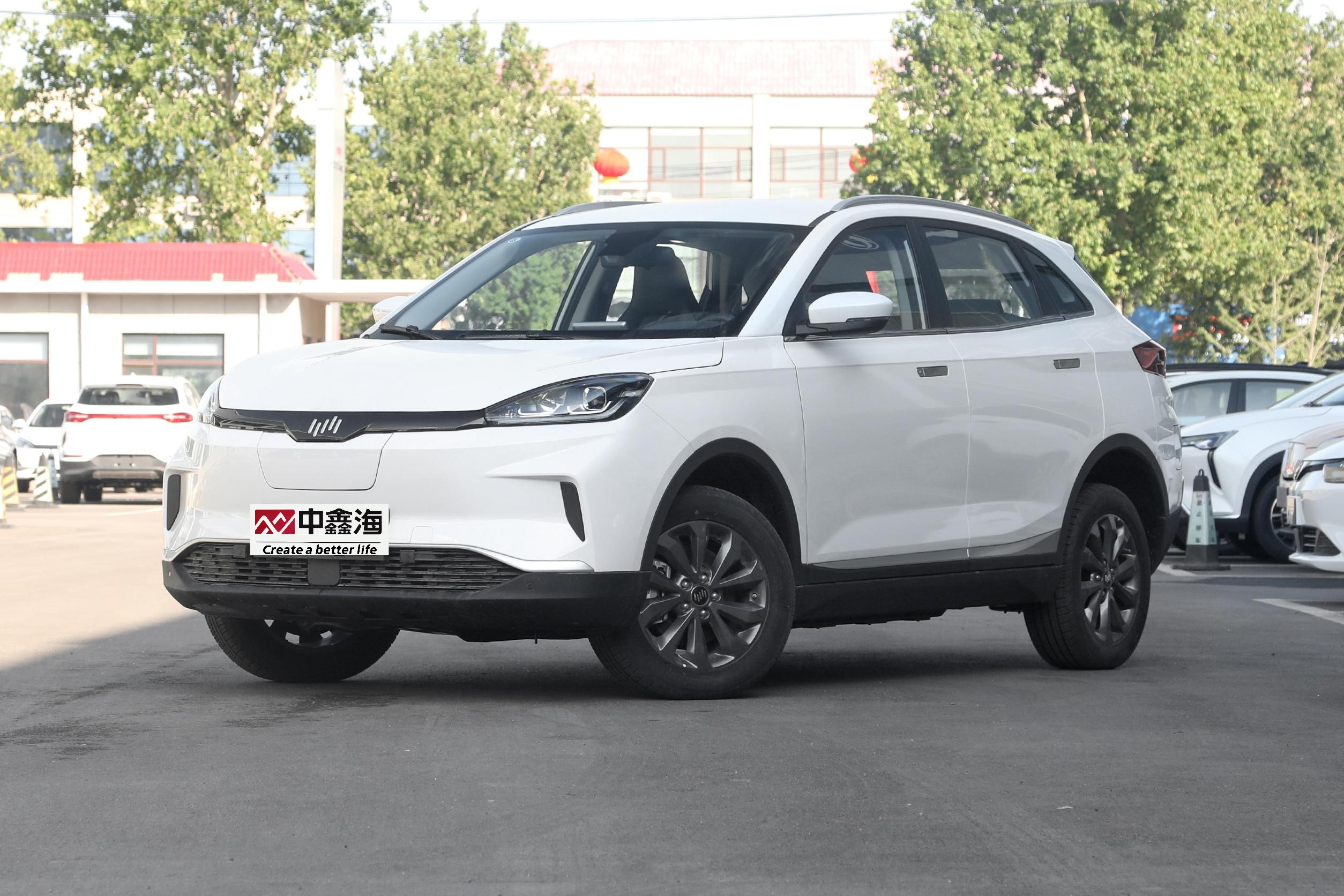 WELTMEISTER 2022 EX5 400 The passenger line new energy vehicles for sale china manufacturer compact SUV High Speed Vehicle