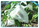 Nonwoven Agiculture Plant Grow Bags For Fruit Growth and Protection , Potato