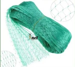 Quality 5gsm - 10gsm Bird Proof Net 2mX3m 2mX5m 2mX10m Anti Bird Netting wholesale