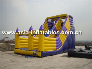 Quality Hot Sale Inflatable Dry Slide With Arch Doors For Chidlren Park Outdoor Games wholesale