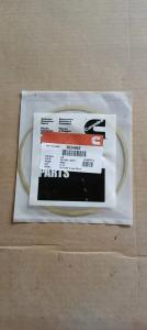 Quality 3034663 Gasket.008 Diesel Engine Spare Parts Composite Galvanized Seal Washer wholesale