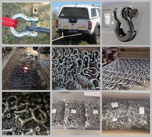Quality stainless steel bow shackle ,stainless steel bow shackle wholesale