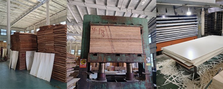 4*8 Poplar Eucalyptus Hardwood Plywood For Furniture