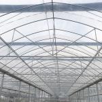 Hot-dipped Galvanized Frame Multi-span Agricultural Film Greenhouse
