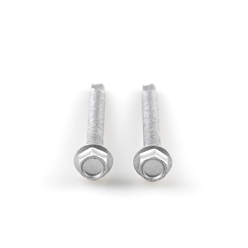 Ruspert Finish Stainless Steel Hex Head Self Drilling Screws for Electrical Appliances
