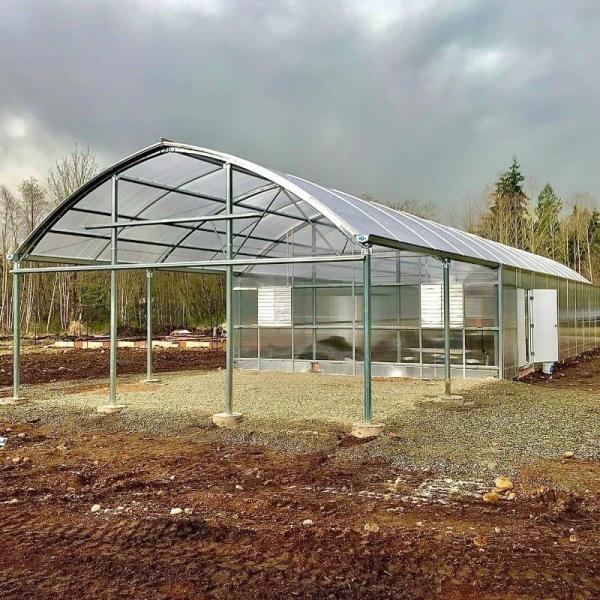 Multispan Hydroponics Plastic Film Agricultural Greenhouse for Commercial Farm
