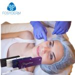 2ml Derm Line Dermal Lip Fillers , Hyaluronic Acid Lip Fillers With Long