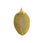 Amazon hot sale High quality pumpkin seeds kernels for sale wholesale from China