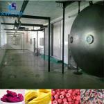 Energy Saving Vacuum Freeze Drying Machine , Automatic Freeze Dryer