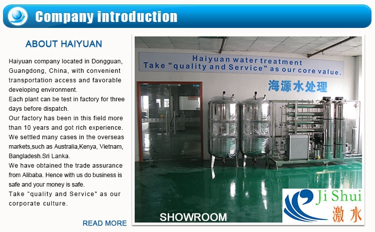 Demineralized Containerized Water Treatment Plant 1000LPH With PLC