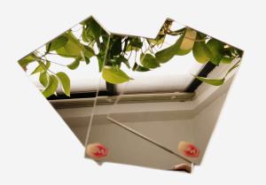 Quality Durable Silver Acrylic Plastic Mirror Sheet 1220x1830mm 1.8-30mm Thickness For Advertising Sign wholesale