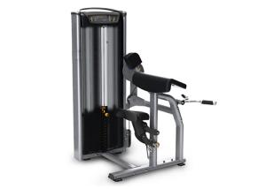 Quality Professional Commercial Gym Equipment Muscle Building OEM ODM Service wholesale