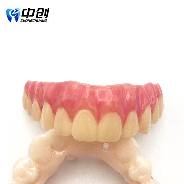 Highly Radiopaque Pink Opaque 4 Color Aesthetic Resin for Professional Natural Restoration