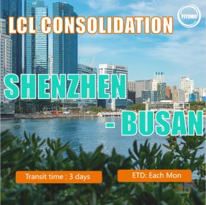 Quality LCL Consolidation From Shenzhen To Busan wholesale