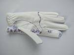 golf glove , golf gloves , glove , gloves