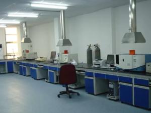 Quality Atomic Laboratory Fume Hood Stainless Steel Welding Fume Hood wholesale